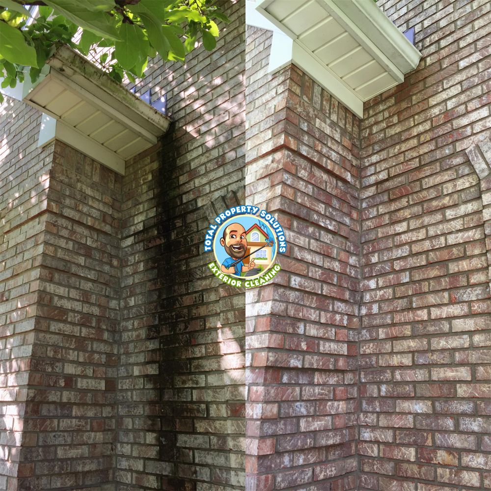 All Photos for Total Property Solutions in Saint Matthews, KY