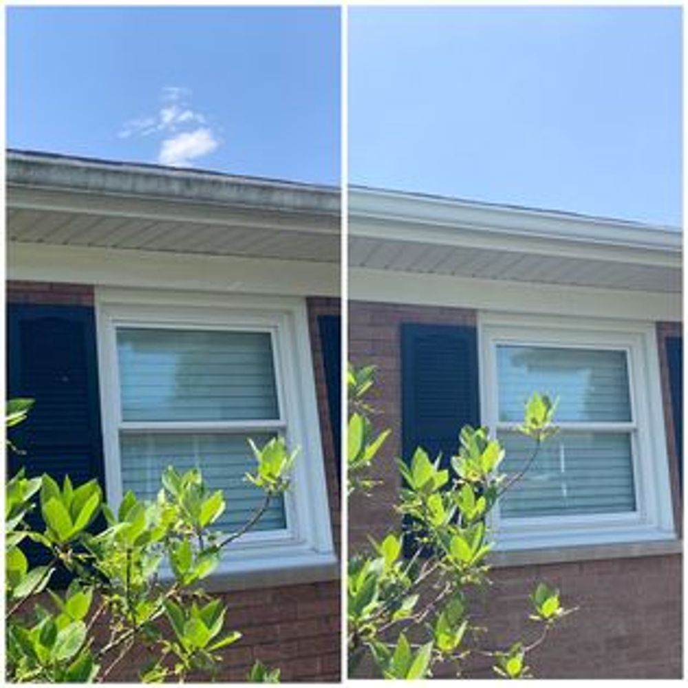 All Photos for Total Property Solutions in Saint Matthews, KY