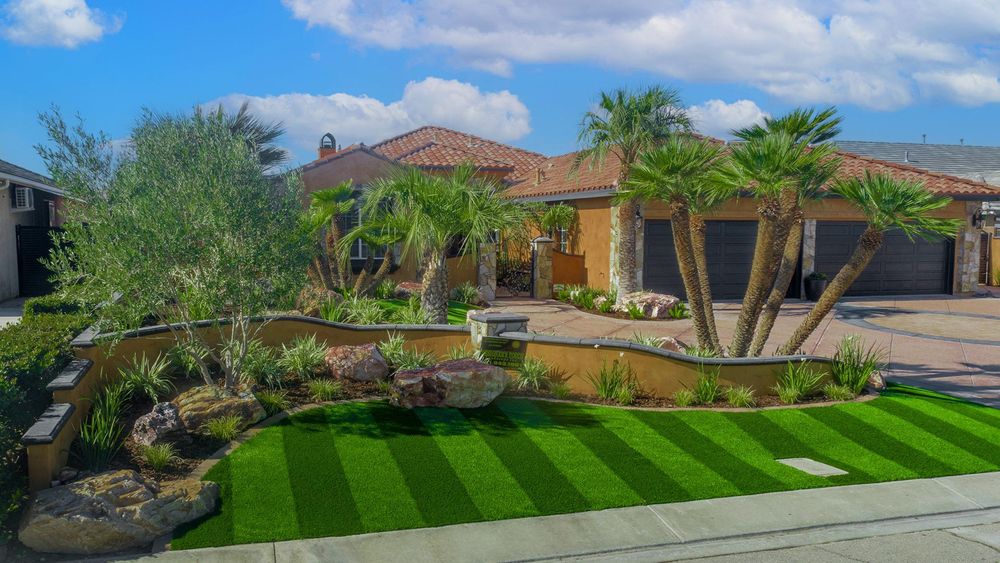 All Photos for Bobbys Palm and Tree Service LLC in Surprise, AZ