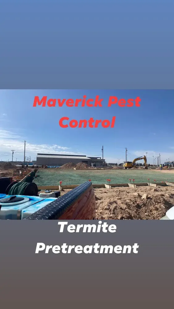 Termite Pretreatment for Maverick Weed & Pest Control in Pecos, TX