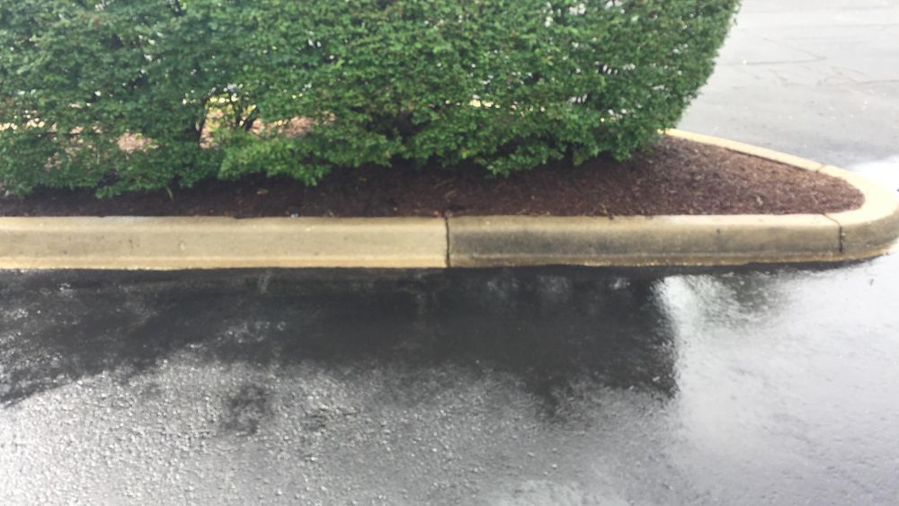 All Photos for Total Property Solutions in Saint Matthews, KY