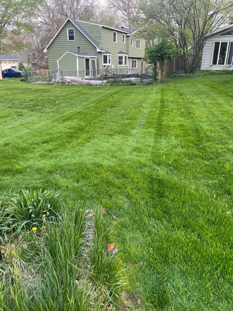 Fall and Spring Clean Up for Solid Oak Lawn Care in East Grand Rapids, MI