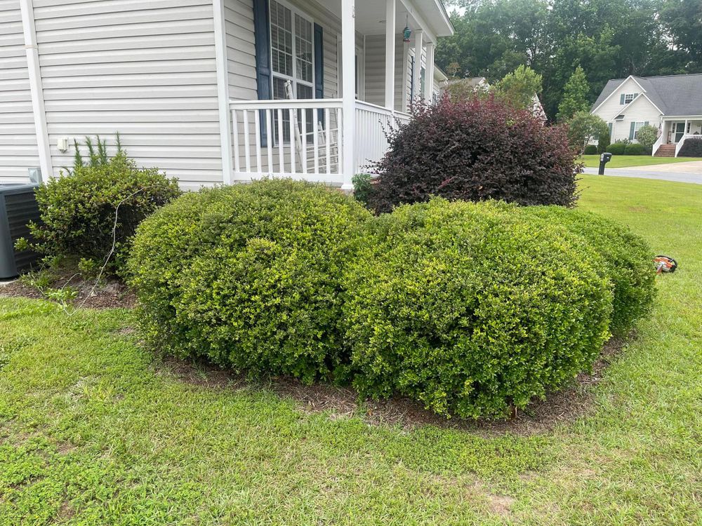 Home Softwash for Sabre's Edge Pressure Washing in Greenville, NC