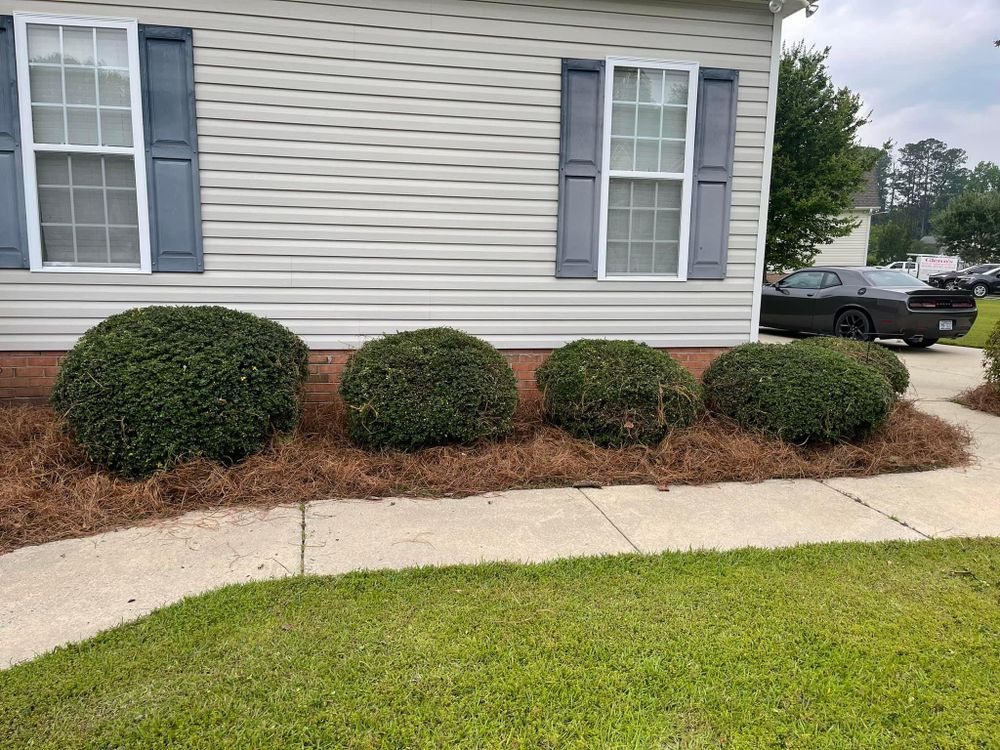 Home Softwash for Sabre's Edge Pressure Washing in Greenville, NC