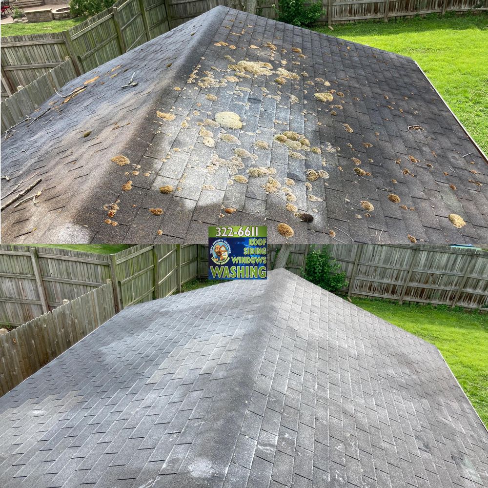 All Photos for Total Property Solutions in Saint Matthews, KY