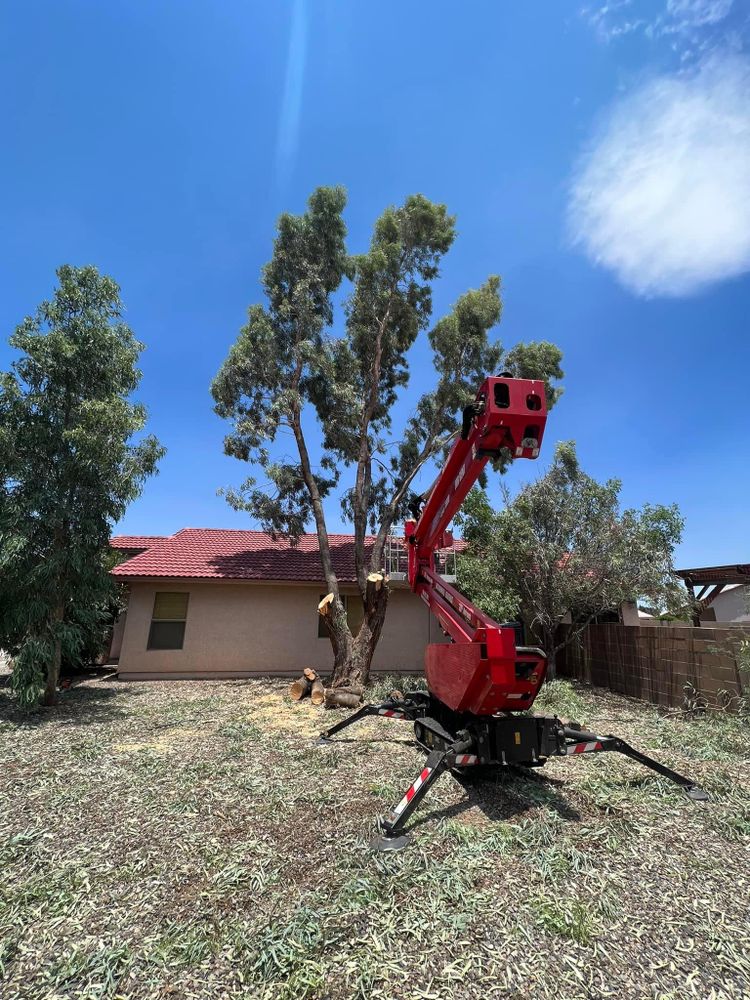 All Photos for By Faith Landscaping in Sierra Vista, AZ
