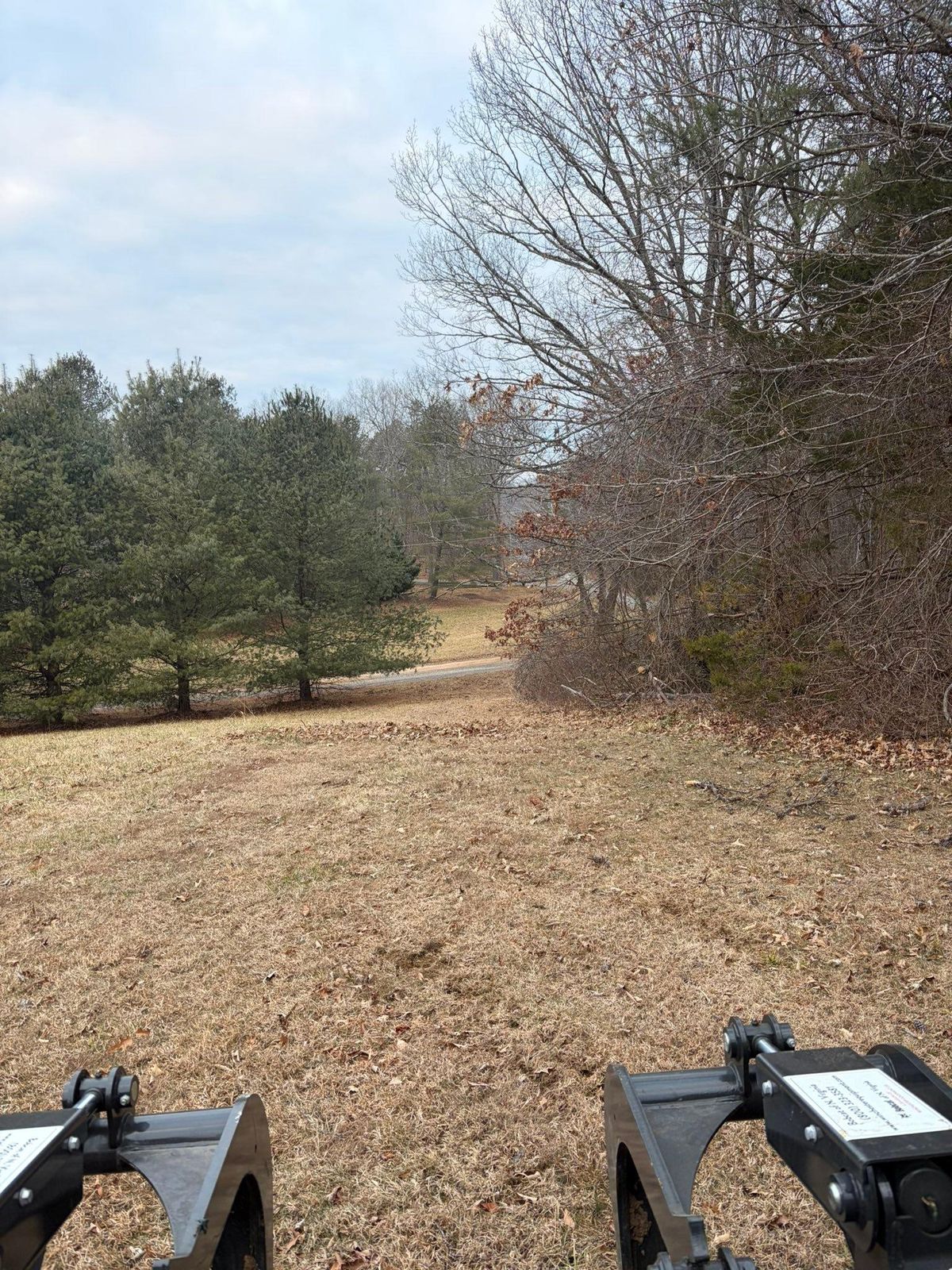 Skid steer clearing an overgrown lot