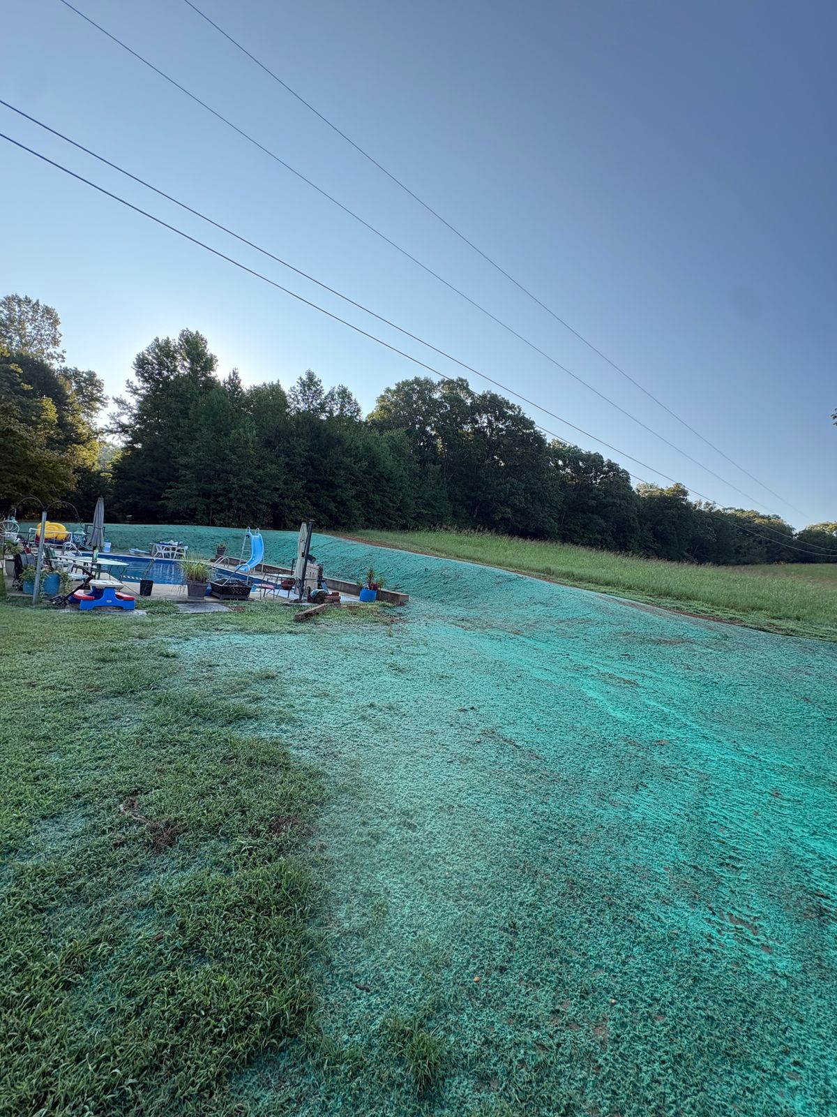 Freshly hydroseeded lawn behind a house