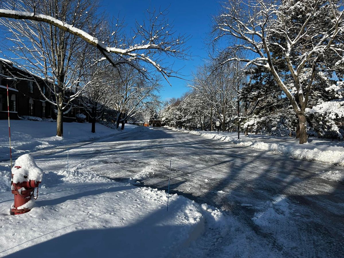 A residential driveway and apron cleared after a snowstorm, with snow banked at the sides and snow-covered trees along the street