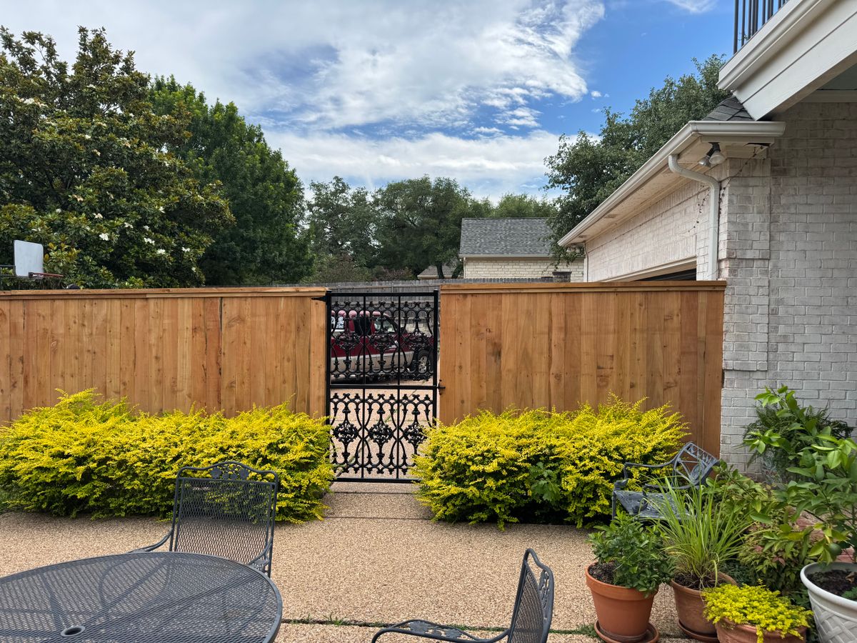 Patio fence: Cedar with a welded iron panel