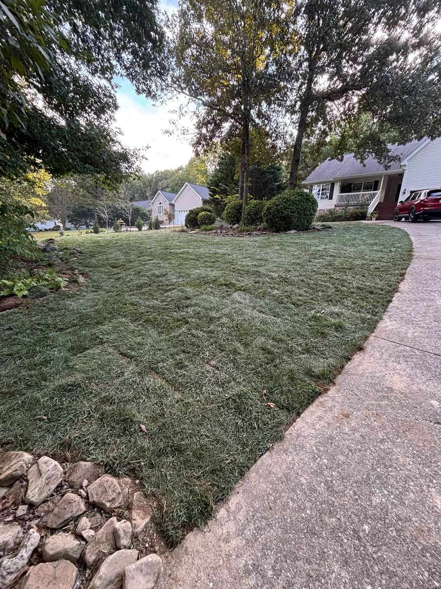 The same front yard covered in new green sod along the driveway