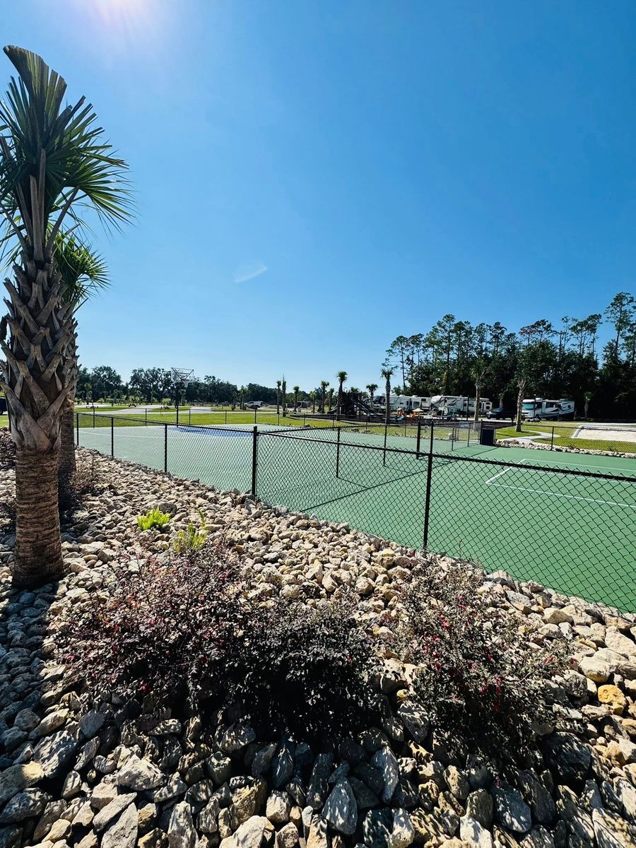 Pickleball courts framed by palms and landscaped beds