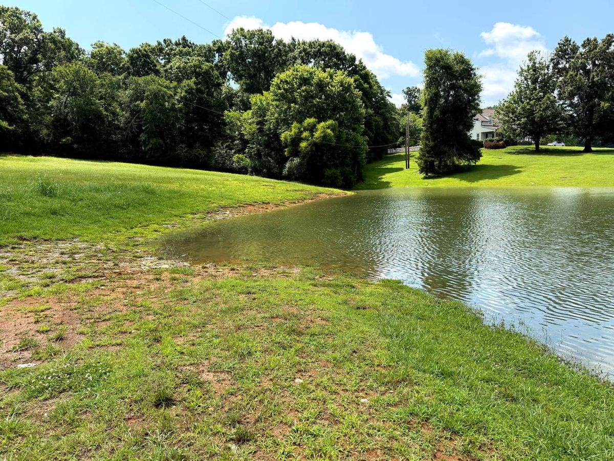 Finished pond with a mowed green bank and trees under a blue sky