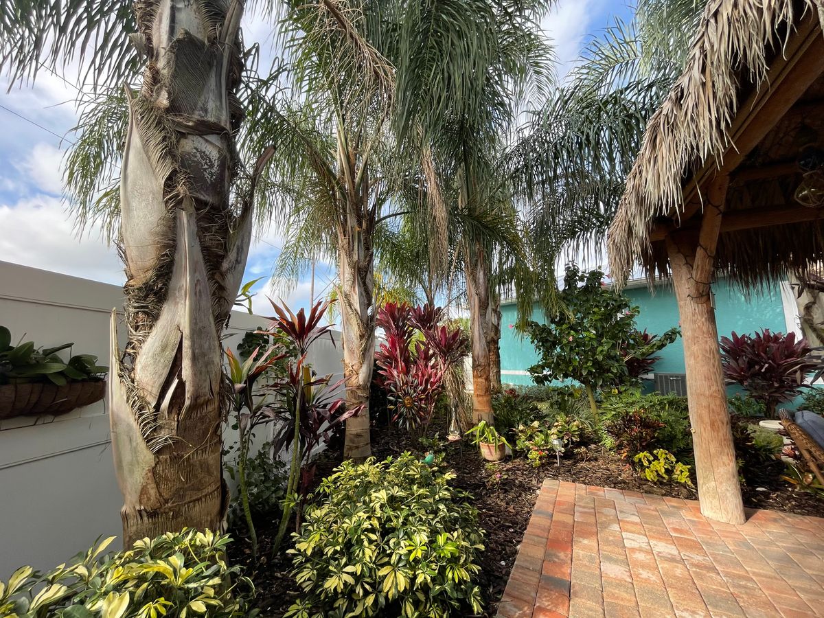 Fall Clean Up for MyerScapes Environmental LLC in Mulberry, FL