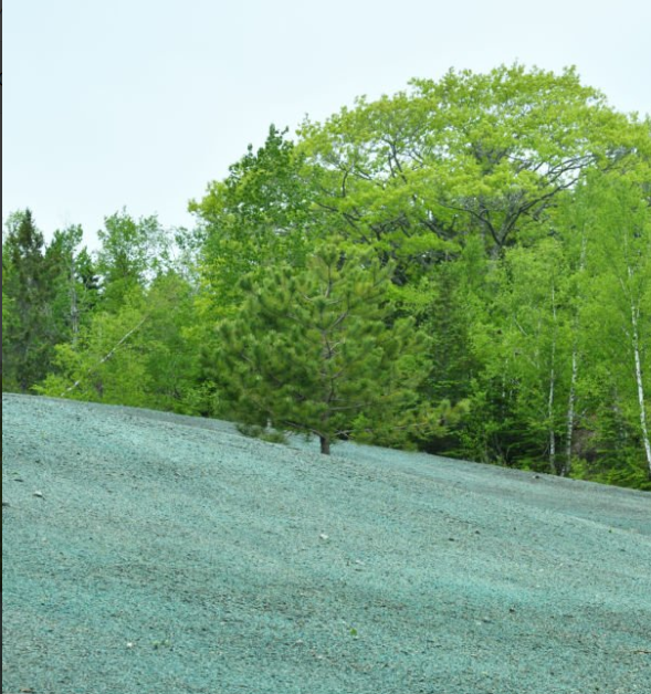 Hydroseeding for Marty’s Construction INC in Hubbardston, MA