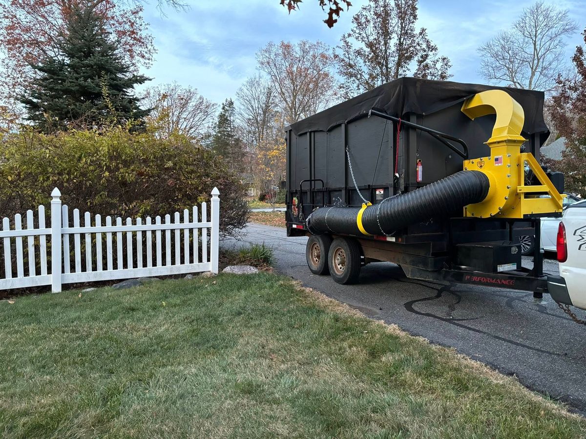 Cleanup for MDR Landscaping in Urbana, IL