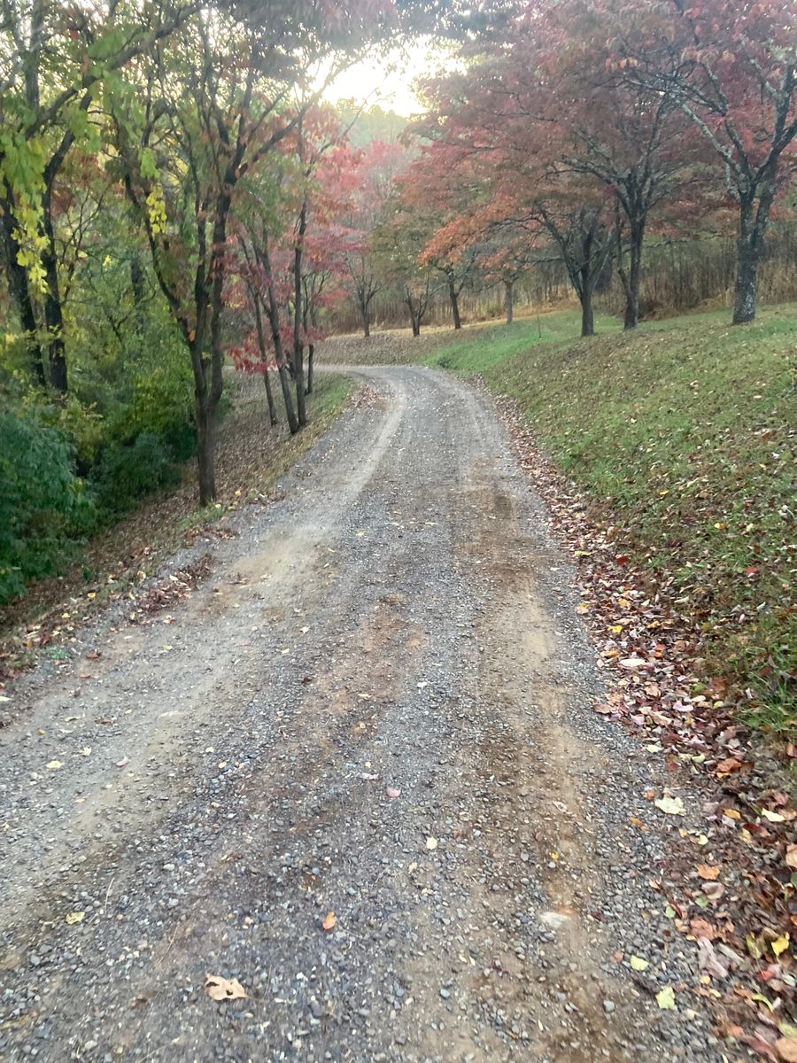 Driveway Regrading for 9999 Building and Renovation LLC in Warrenton, VA