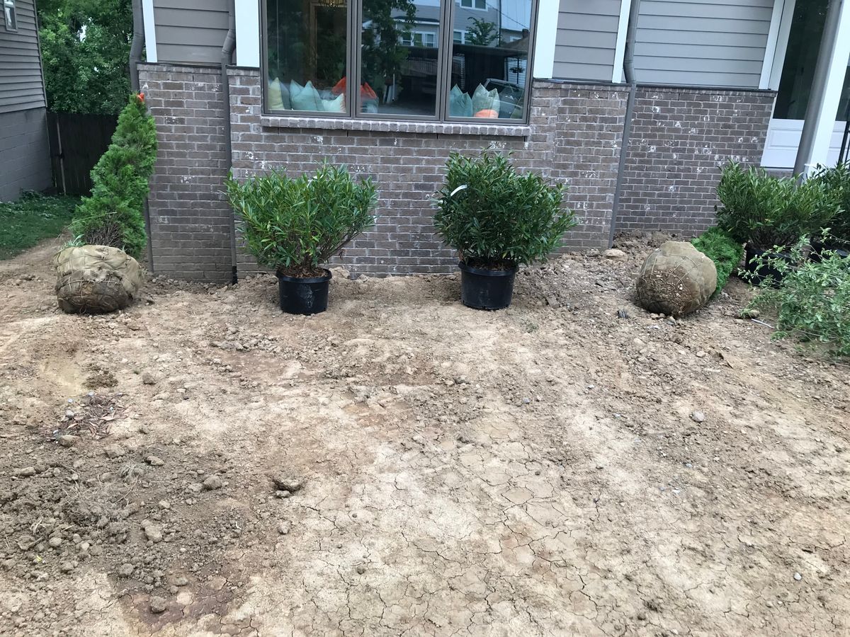 Shrub Trimming for Grass Management in Nashville, TN