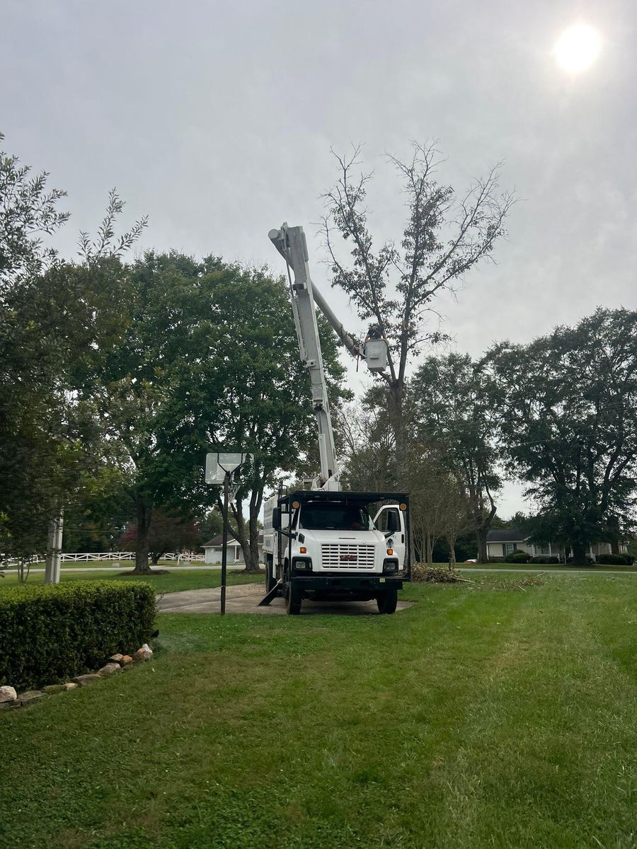 Tree Trimming for Brooks Tree Service, LLC in Casar, NC