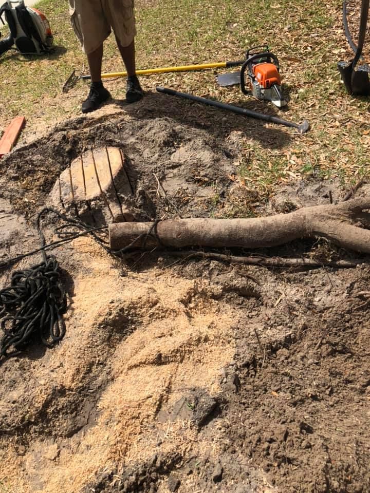 Stump Removal for Perfect MOs Landscaping in Hudson, FL
