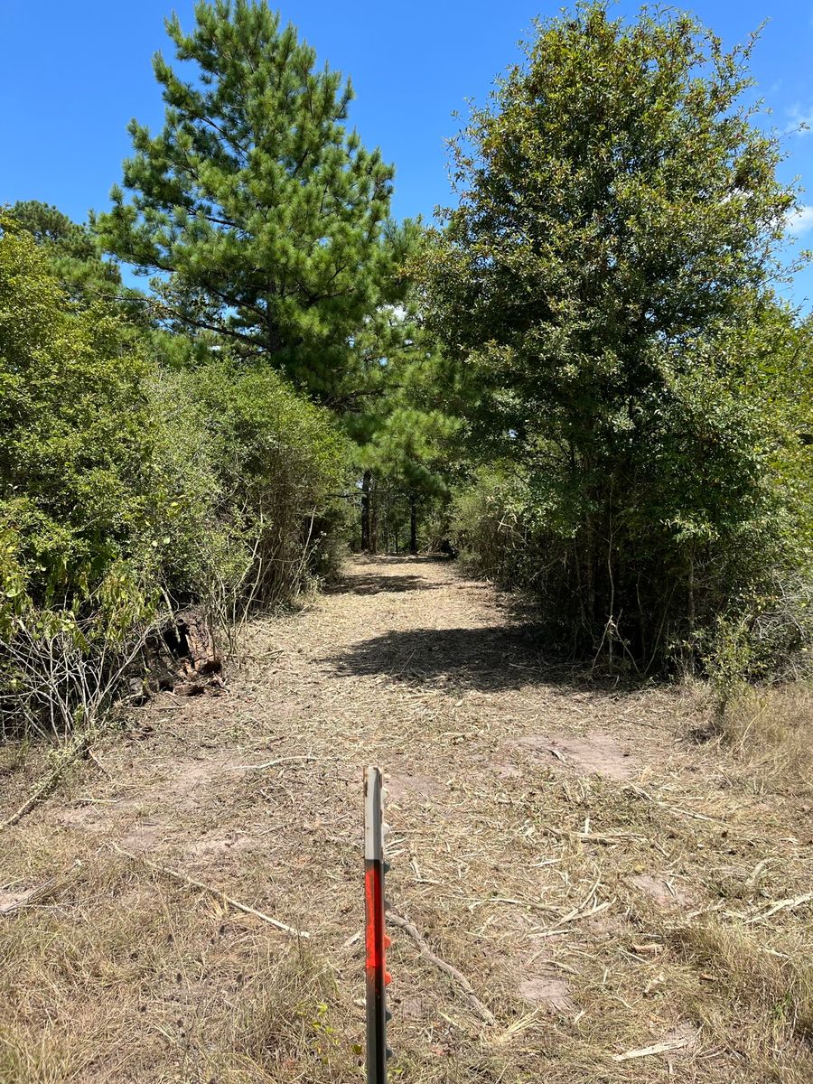 Land Clearing for Arnold Construction in Magnolia, TX