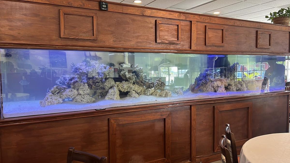 Short & Long-Term Aquarium Care for Aquariums by Sharyn in The State of Florida, FL