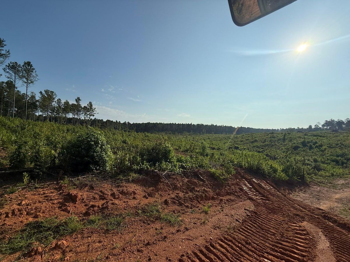 Site Preparation for Southern Land Improvements in Edgefield, SC