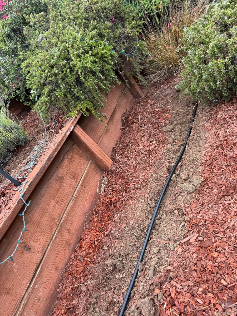 Mulch Installation for CBA Landscaping in Hayward, CA