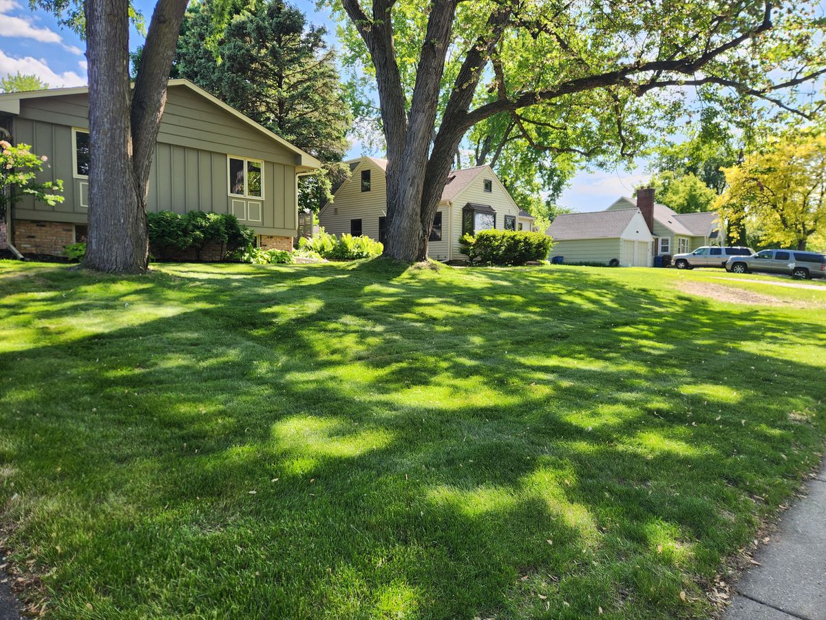 Shrub Trimming for K & I Lawn Care Service  in Eden Prarie, MN