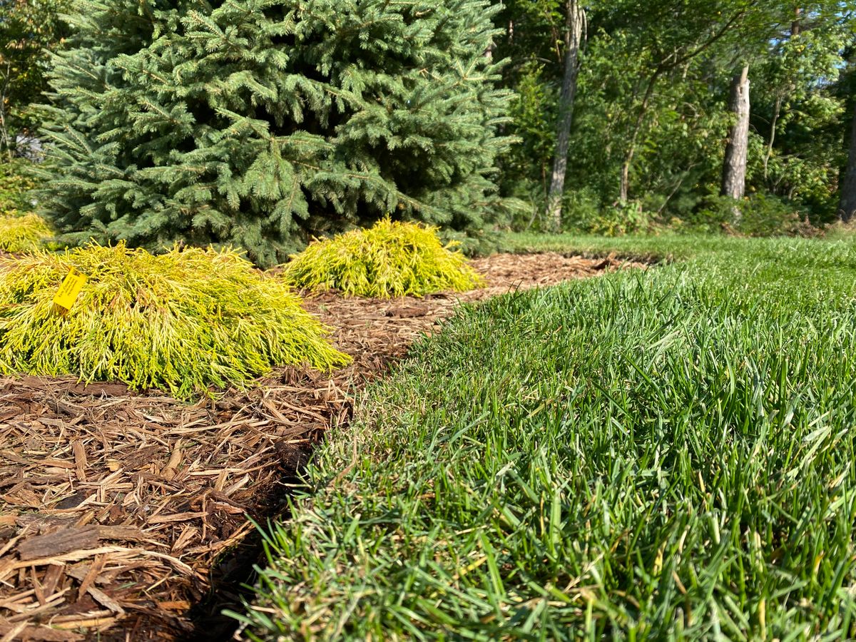 Mulch Installation for Greenscape Lawns in Montague, MI