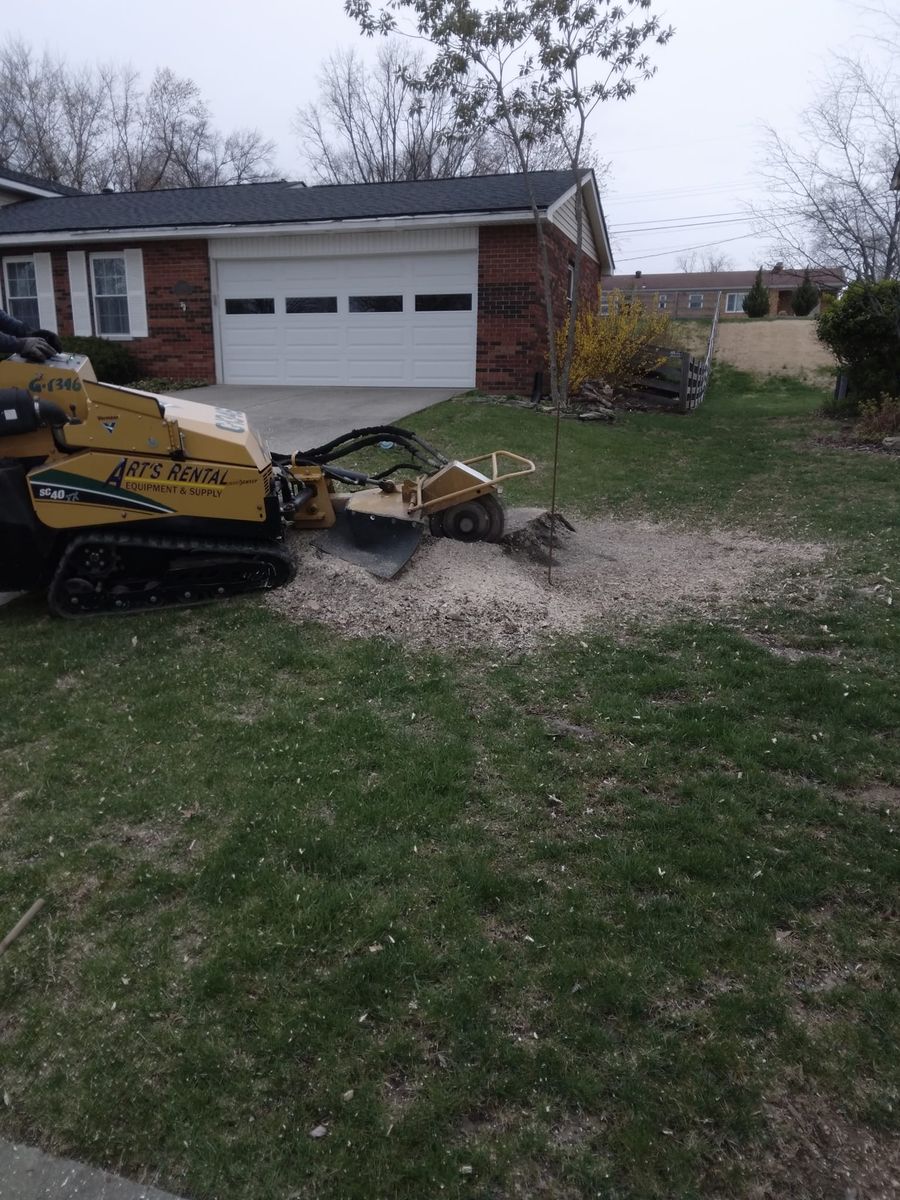 Stump Removal for Kingdom Tree Trimming and Removal LLC in Covington, KY