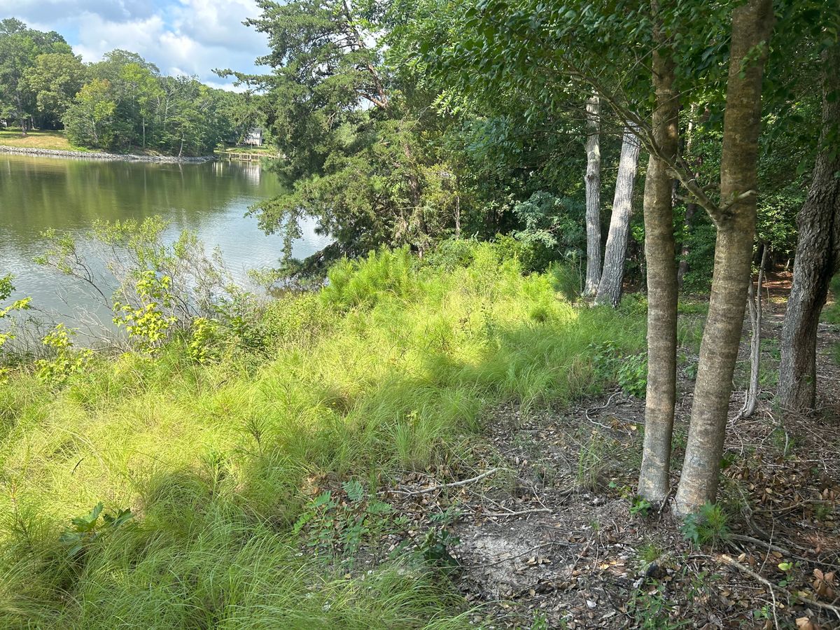 Drainage Solutions for The Whole 9 Yards Landscape VA in Heathsville, VA