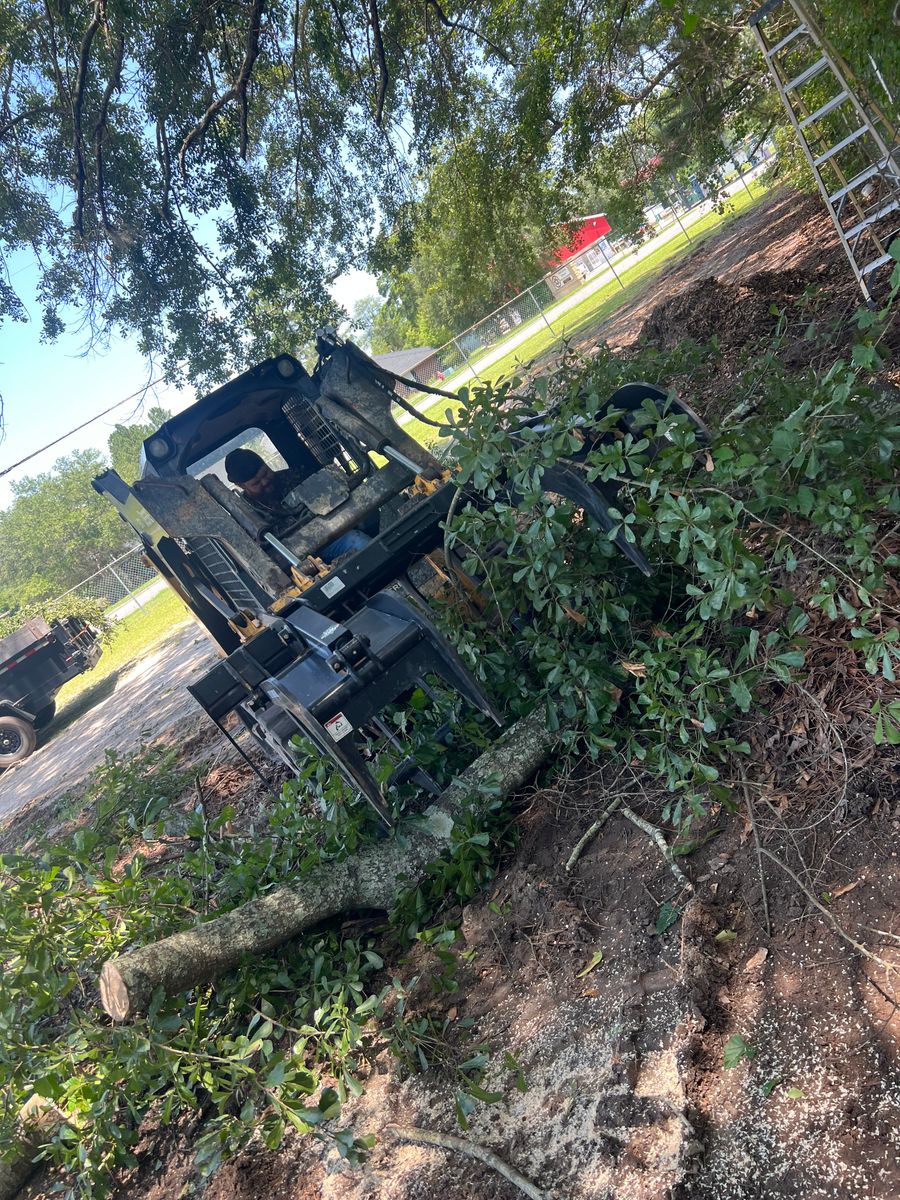Tree Trimming & Removal for Brandon Woodard’s Lawncare in Ludowici, GA
