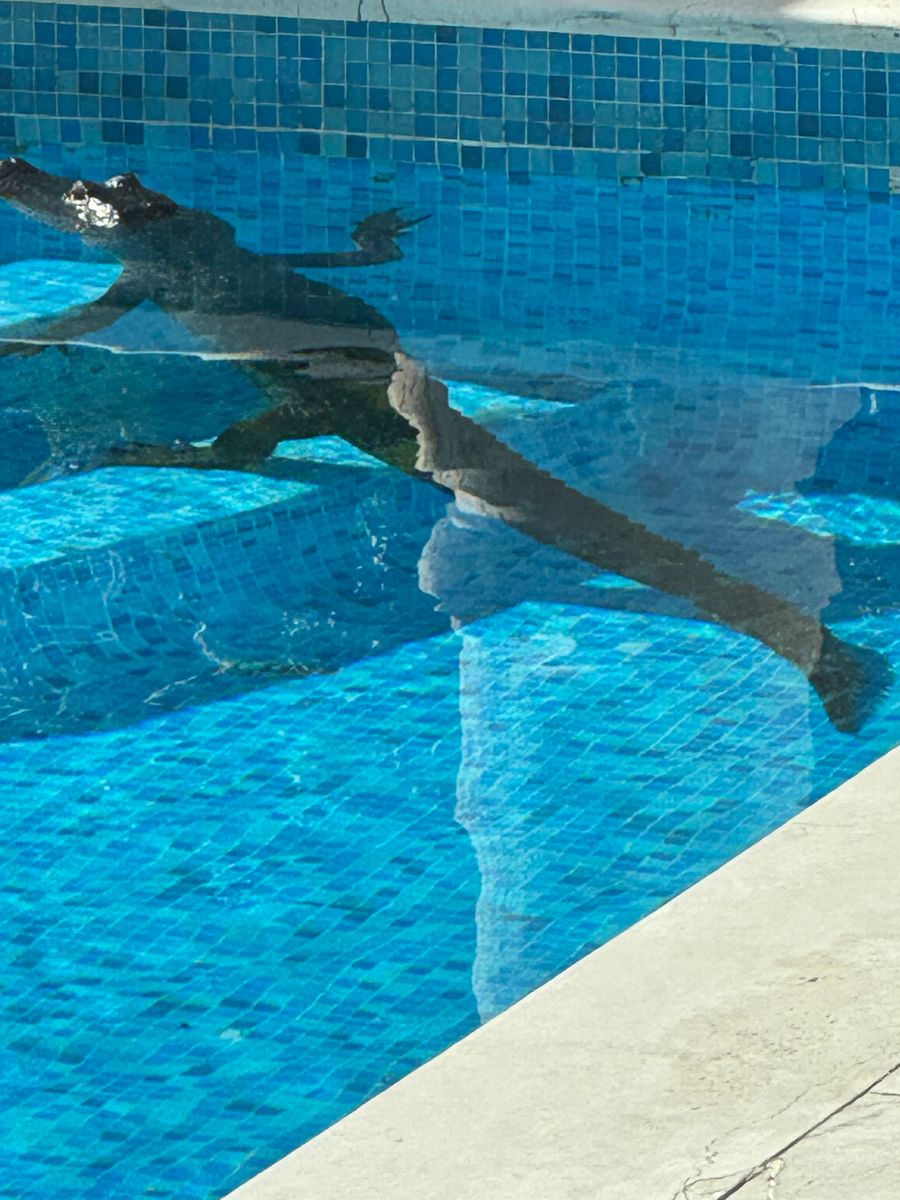 Leak Detection and Repair for Precision Leak Detection in Jacksonville, Florida