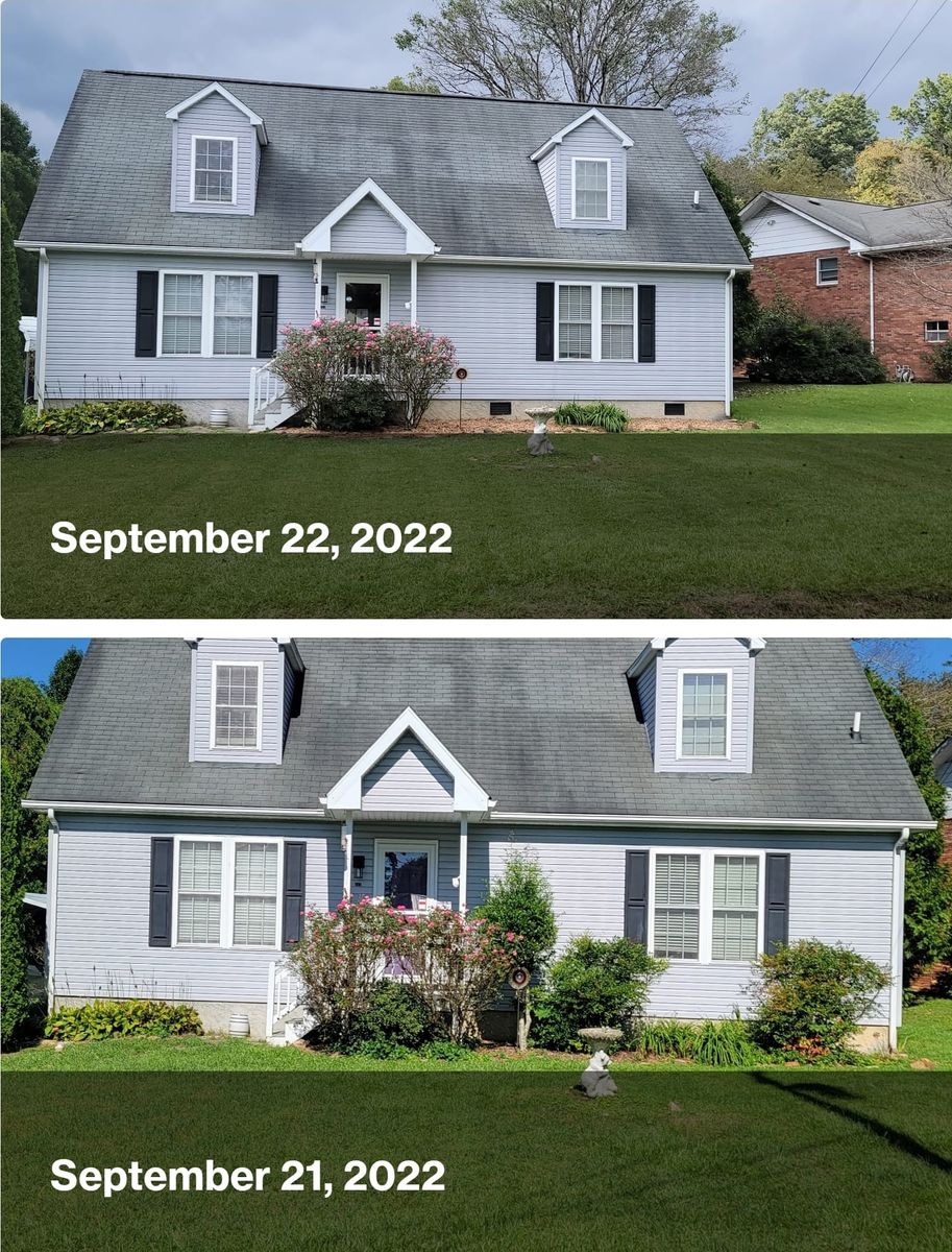 Shrub Trimming for Hart and Sons in Transylvania County, North Carolina