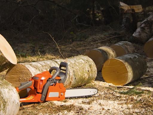 Tree Trimming & Removal for All of the Above Landscaping in Orange Park, FL