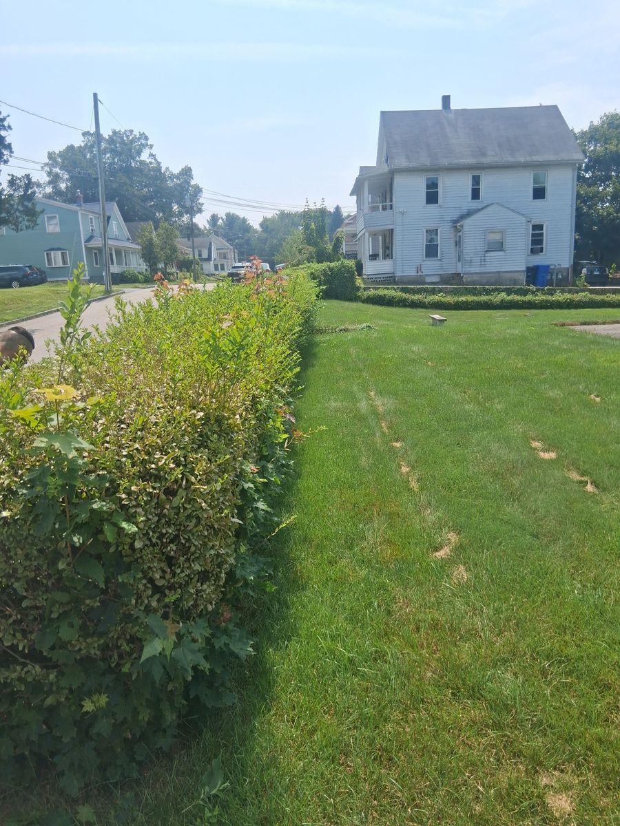 Landscape Installation for Landscape Innovations LLC in Torrington, CT