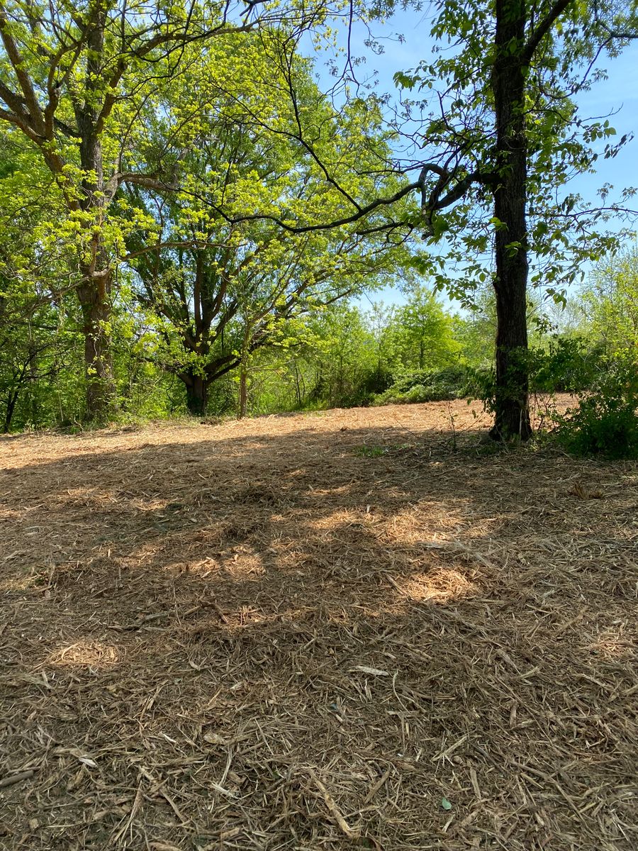 Forestry Mulching for Southern Land Solutions Forestry Mulching, LLC in Cleveland, NC