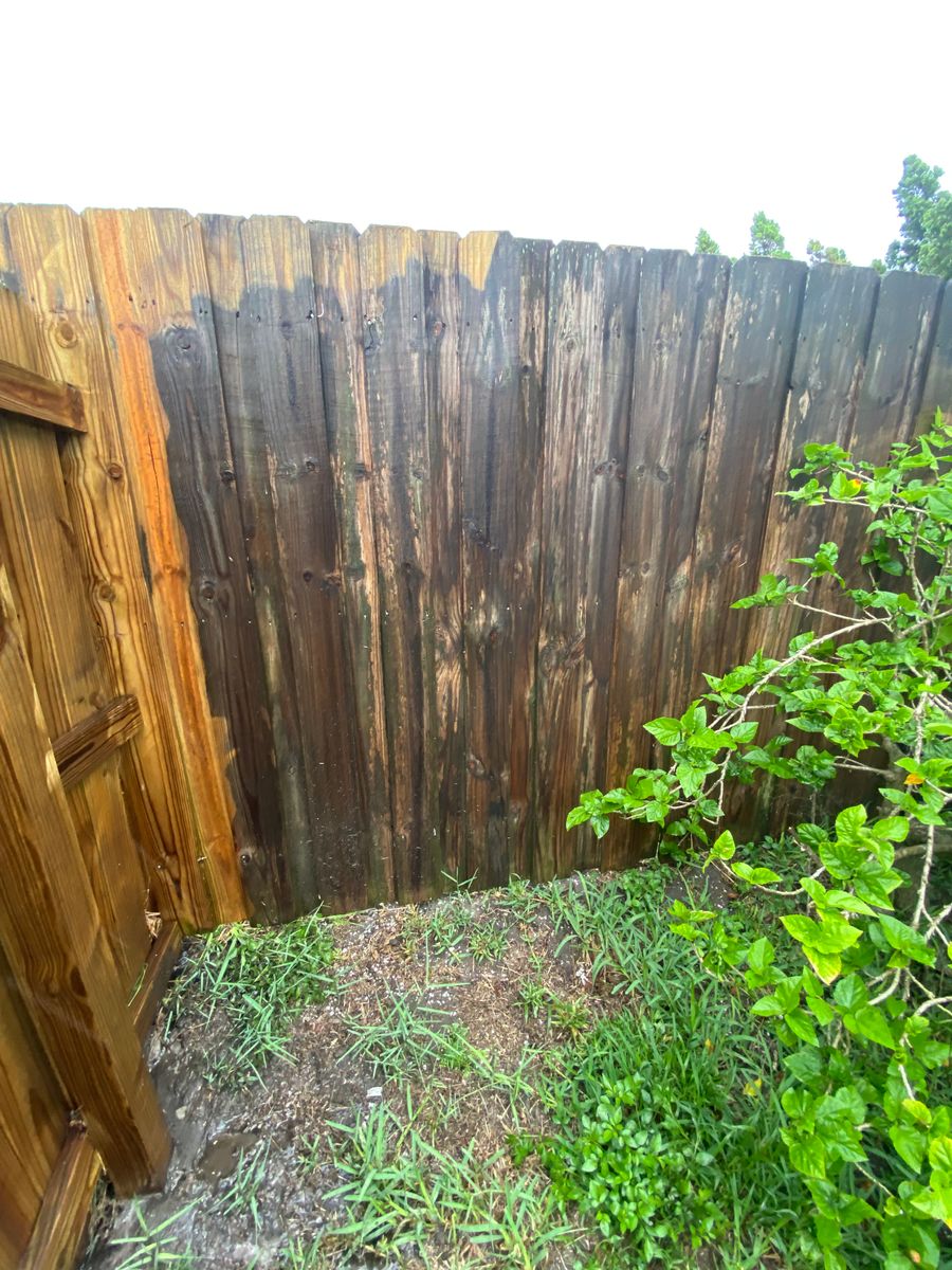 Fence Staining for Paps Painting in Brevard county, FL
