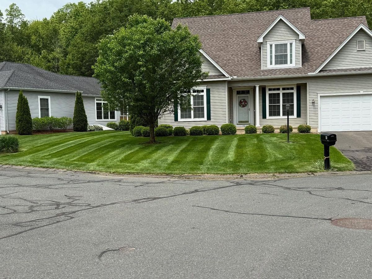 Fall Clean Up for B&L Management LLC in East Windsor, CT