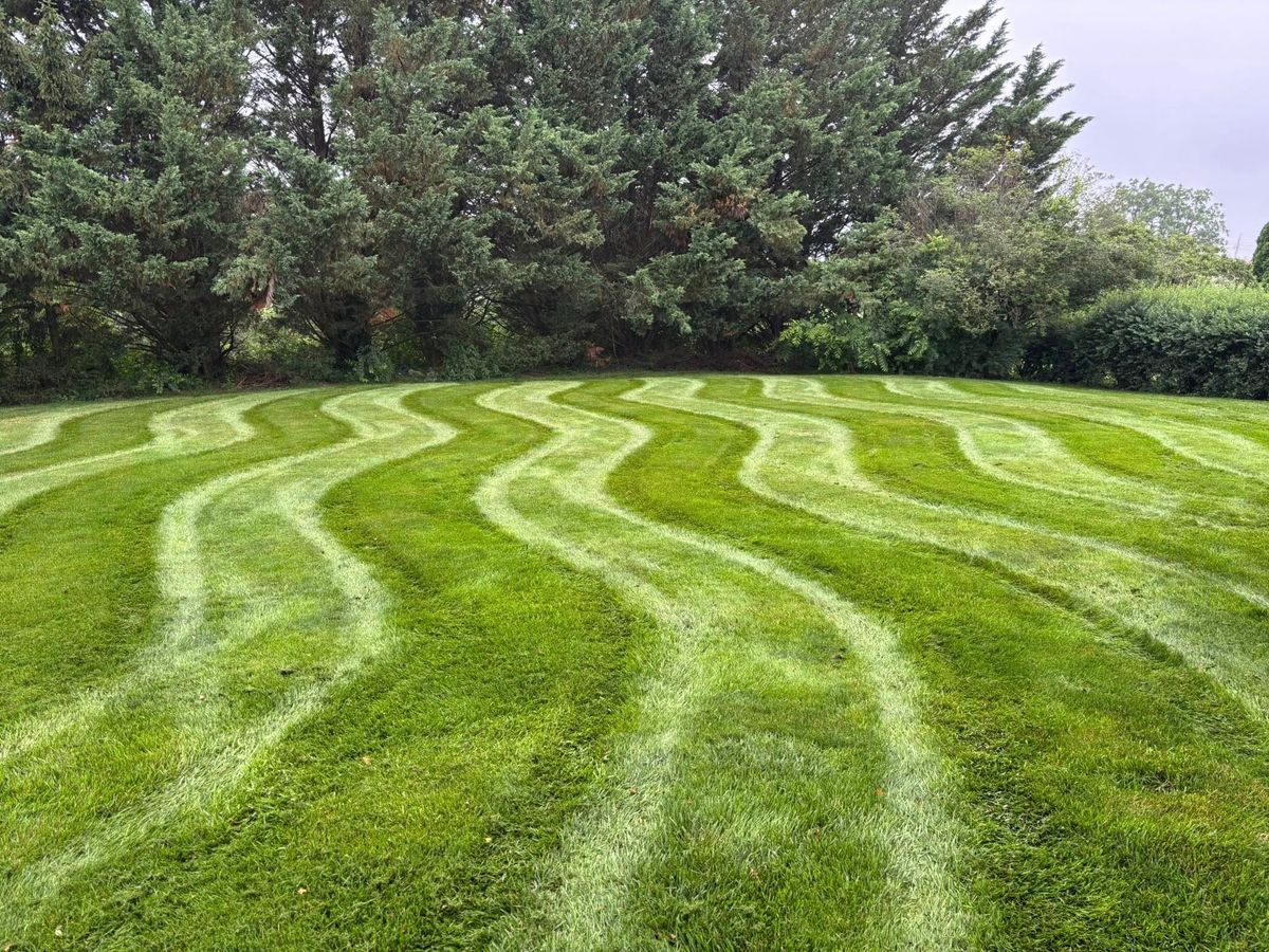 Sod Install for Backyard Acres Lawncare LLC in Chambersburg, PA