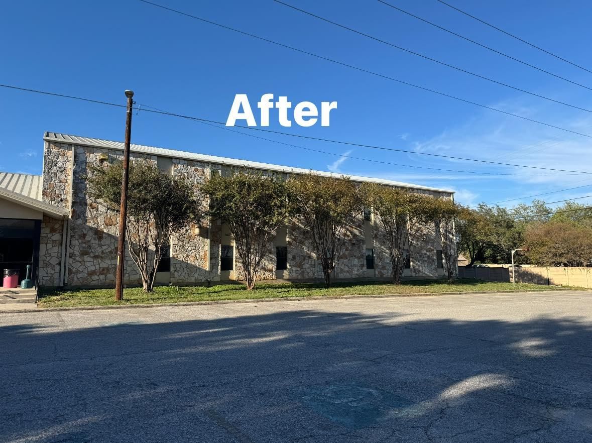 Tree Trimming for Z’s Trees LLC in Grey Forest, TX