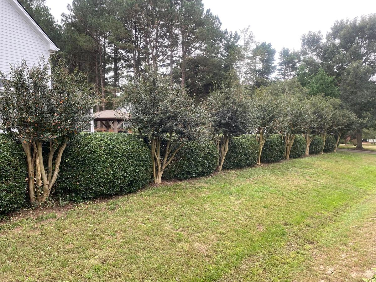 Landscape Design for Superior Lawn Solution in Coats, NC