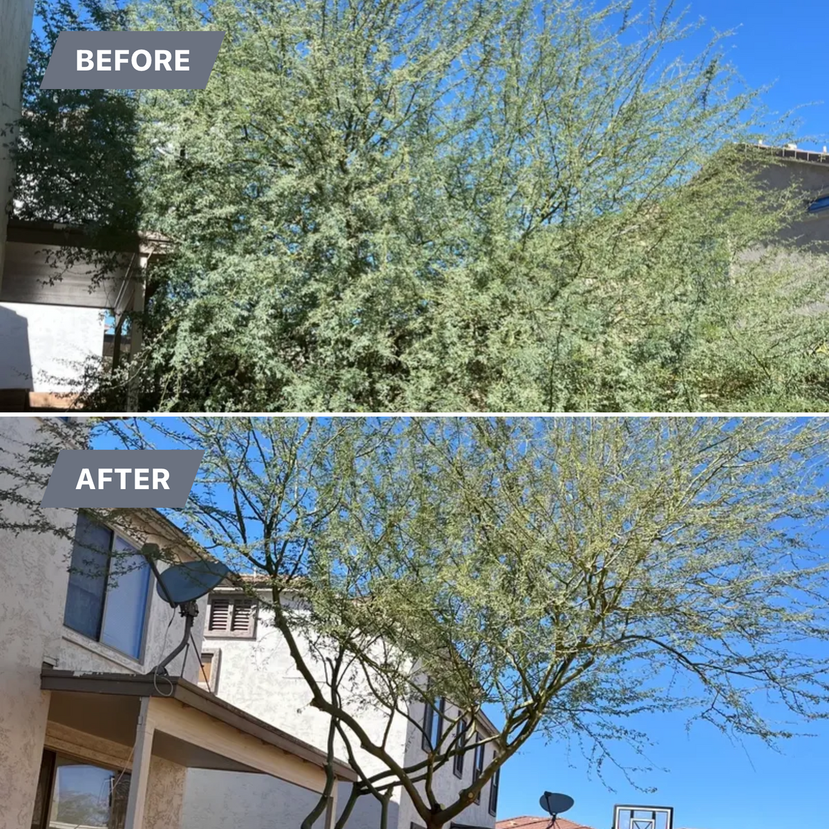 Residential Landscaping for Grand Canyon State Landscape Inc. in Surprise, AZ