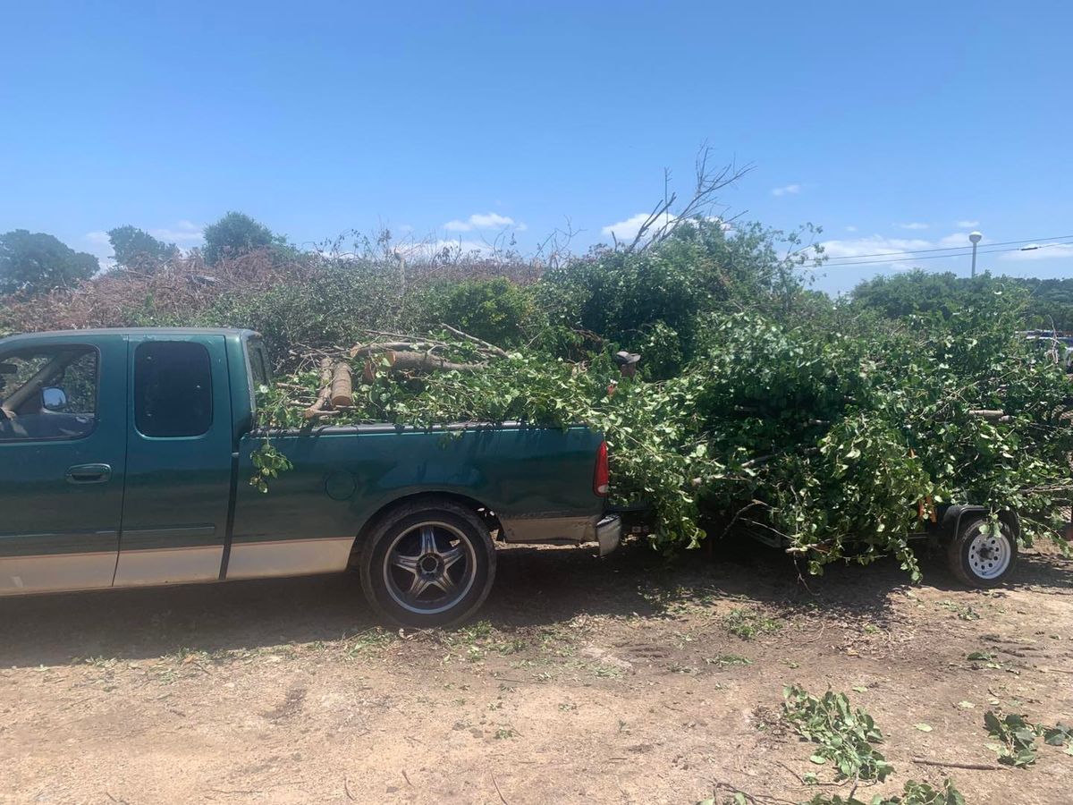 Tree Removal for Father & Son Lawn Care in Harker Heights, TX