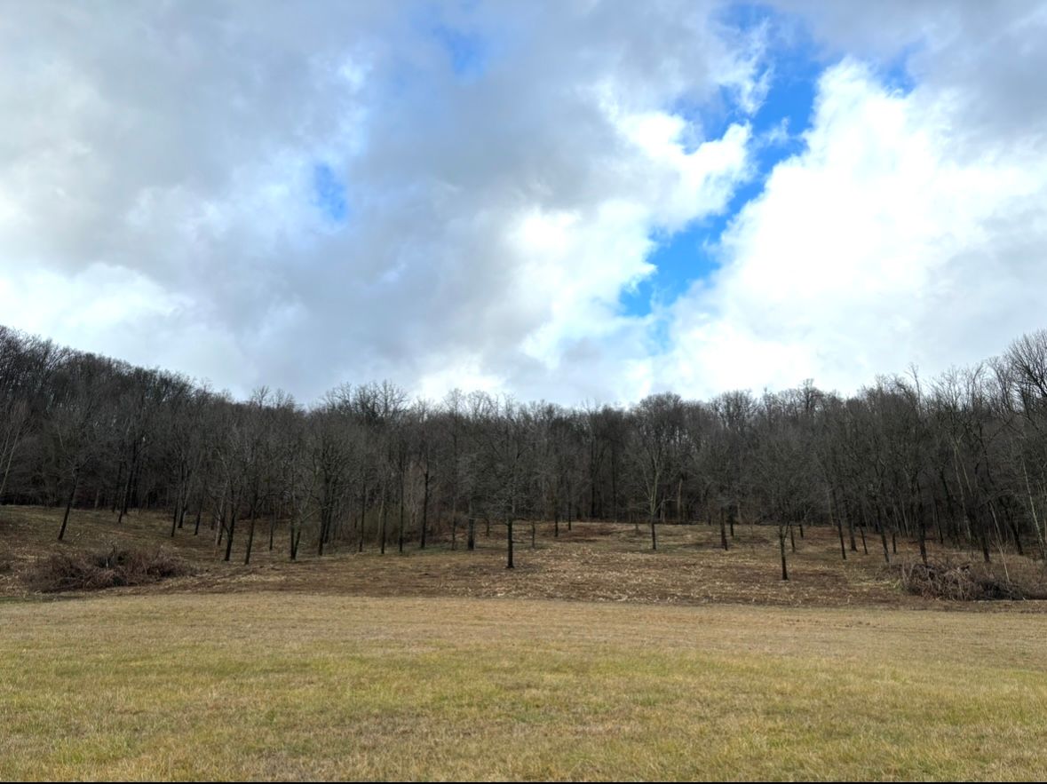 Land Clearing for Gregory Grass and Lawn in Lafayette, TN