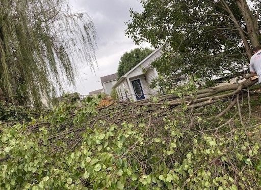 Storm Cleanup for Bearforce Lawn Care LLC in Greenfield, IN