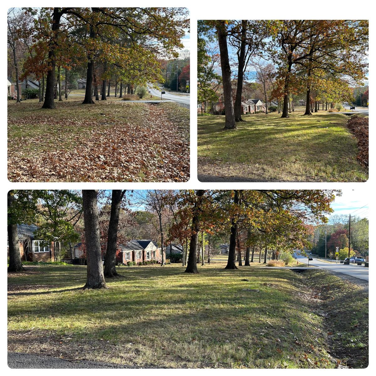 Leaf Clean Up for Bellevue Lawn and Landscaping in Bellevue,  TN