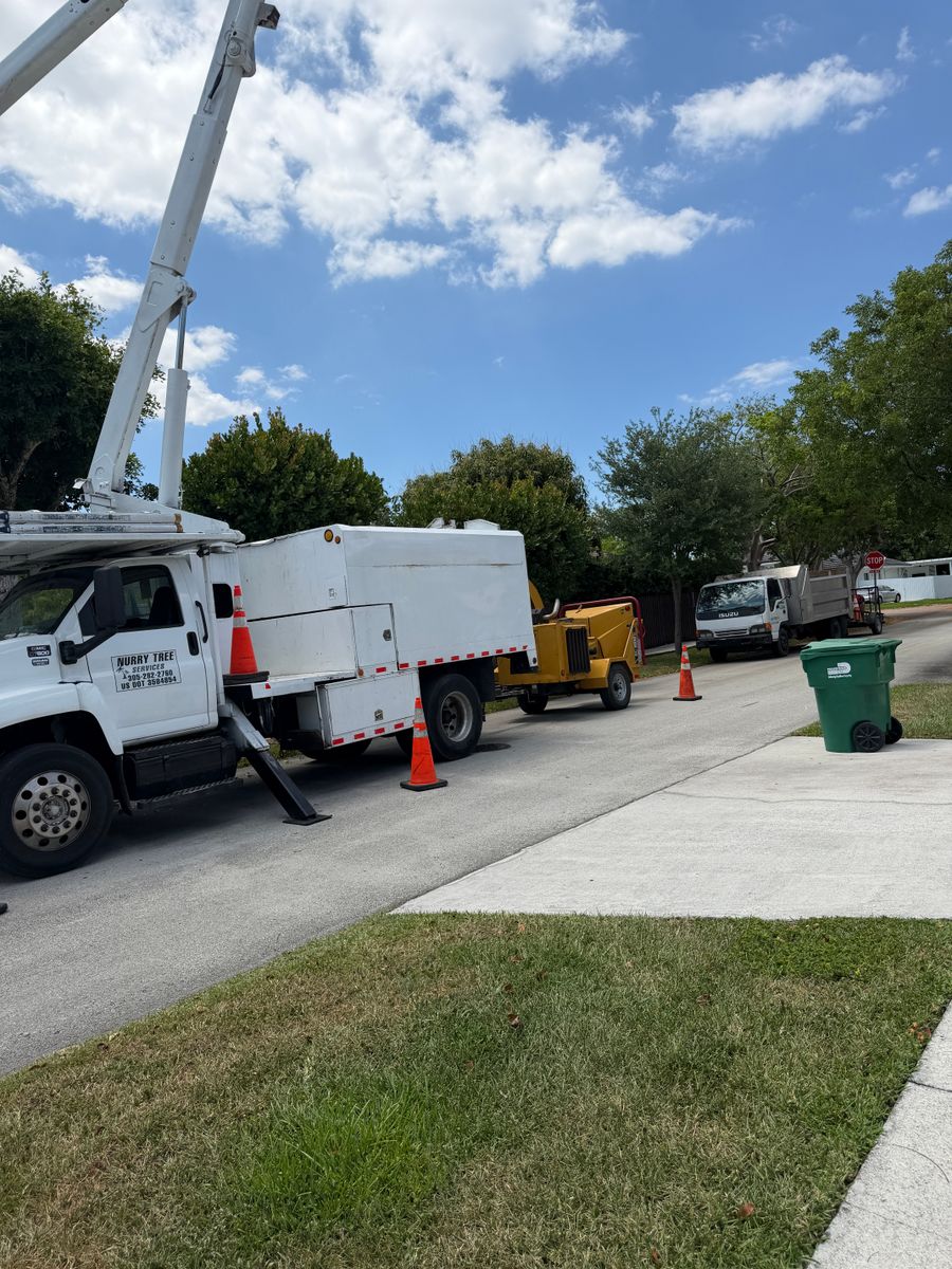 Tree Trimming for Nurry Tree Services in Miami, FL
