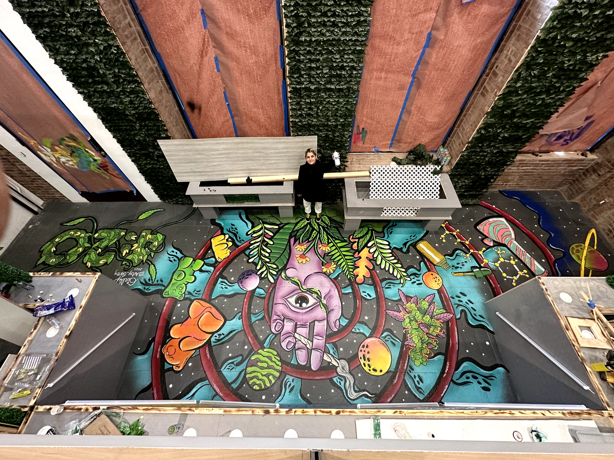 Commercial Murals for ANAEME in New York, NY